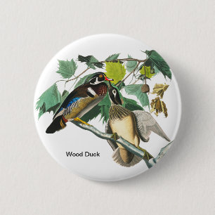 Wood Duck by John James Audubon、Birdwatcher Bird 缶バッジ