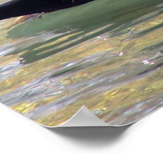 Wood Duck Drake ポスター (角)