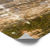 Wood Duck male on log in wetland ポスター (角)