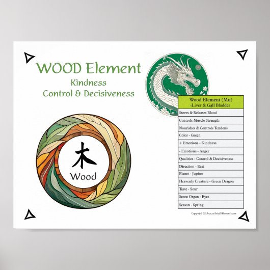 Wood Element Acupuncture ポスター (正面)