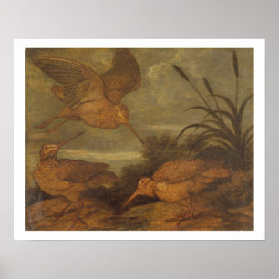 Woodcock at Dusk, c.1676 (oil on canvas) ポスター
