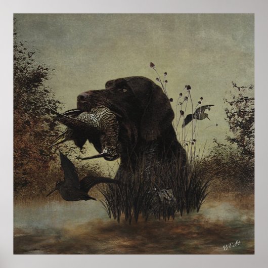 Woodcock Hunting with German Wirehaired Pointer   ポスター (正面)