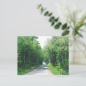 Wooded Laneはがき ポストカード (スタンド正面)
