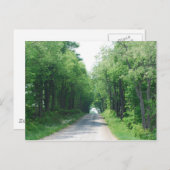 Wooded Laneはがき ポストカード (正面/裏面)