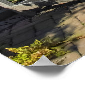 Wooden Bench in Lush Garden ポスター (角)