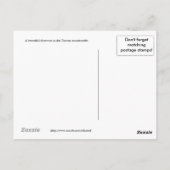 Wooden Door Tuscany Italy Personalized ポストカード (裏面)