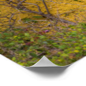 Wooden doorway ポスター (角)