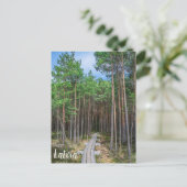 Wooden trail in pine forest ポストカード (スタンド正面)