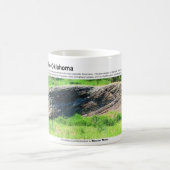 Woodfordの頁岩I -露出の性格描写 コーヒーマグカップ (中央)