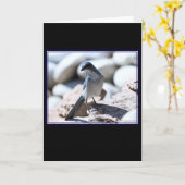 WoodhouseのScrub-Jayカメラ用モデリング。 カード (黄色い花)