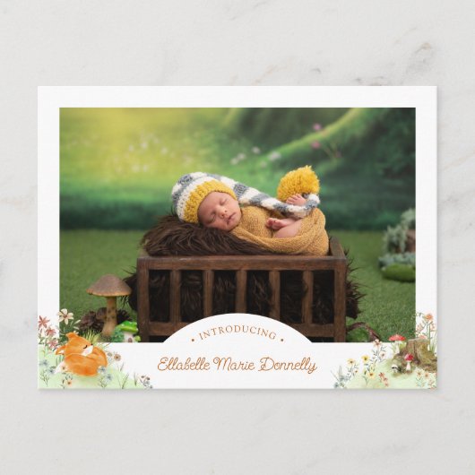 Woodlandキツネ写真誕生発表葉書 案内ポストカード (正面)