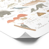 Woodland Animal Alphabet ABC Kids Room Decor ポスター (角)