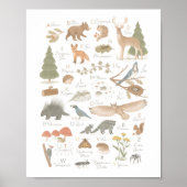 Woodland Animal Alphabet ABC Kids Room Decor ポスター (正面)