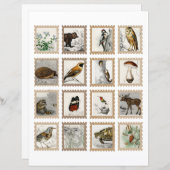 Woodland Animals Junk Journalアクセント (正面/裏面)