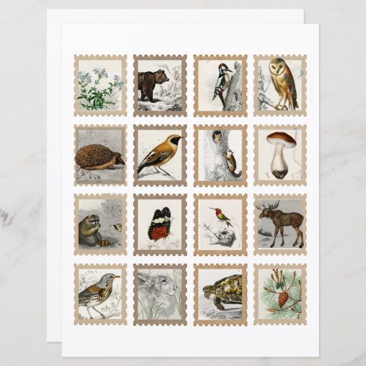 Woodland Animals Junk Journalアクセント (正面/裏面)