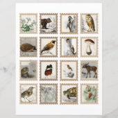 Woodland Animals Junk Journalアクセント (正面)