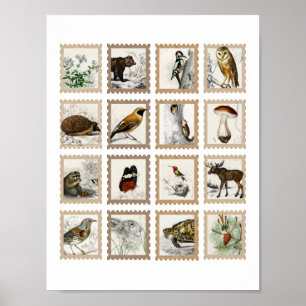 Woodland Animals Moose Birds Junk Journalアクセント ポスター