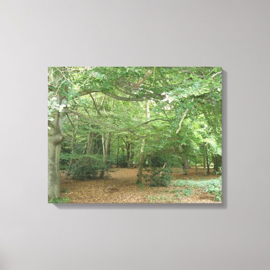 Woodland Clearing Canvas Print キャンバスプリント (正面)