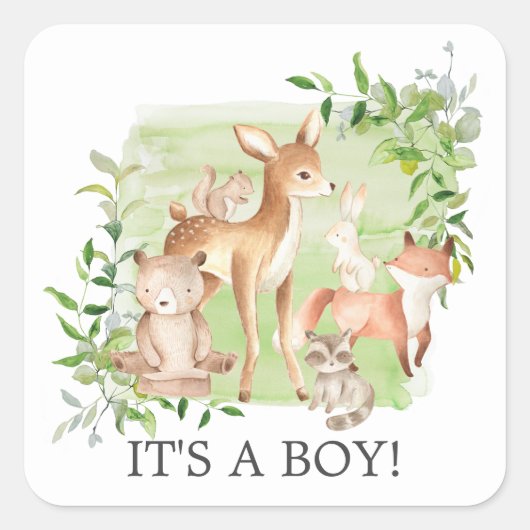 Woodland Friends It'a Boy Favy Sticker スクエアシール (正面)