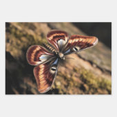  Woodland Moth ラッピングペーパーシート (正面)