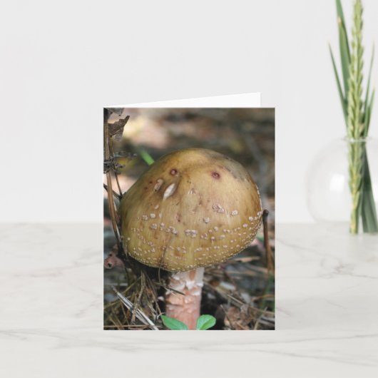 Woodland Mushroom Nature Photography  ノートカード (正面)
