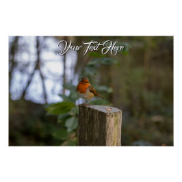 Woodland Robin Glossy Poster ポスター