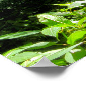 Woodland Scene ポスター (角)