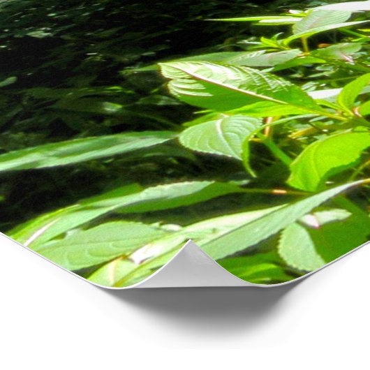 Woodland Scene ポスター (角)