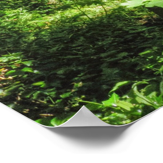 Woodland Scene ポスター (角)