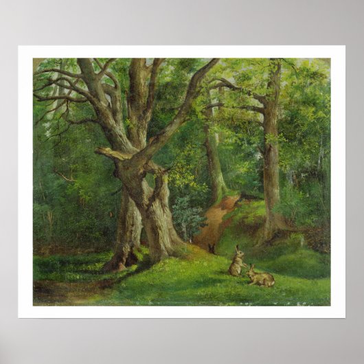 Woodland Scene with Rabbits, 1862 (キャンバス上の油) ポスター (正面)
