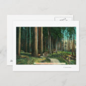 Woodland SceneEugene、または ポストカード (正面/裏面)
