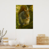 Woodland Squirrel – Realistic Wildlife Art ポスター (キッチン)