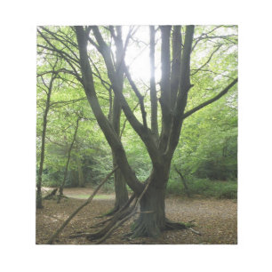 Woodland Sunshineメモ帳 ノートパッド