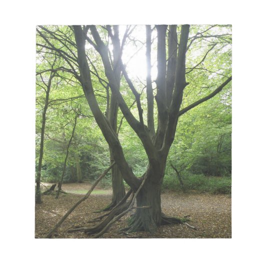 Woodland Sunshineメモ帳 ノートパッド (正面)