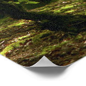 Woodland Walk ポスター (角)