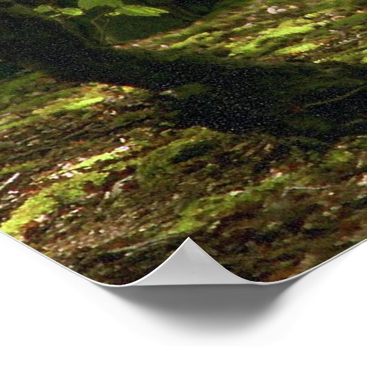 Woodland Walk ポスター (角)