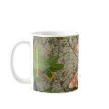 WoodlandRealmと過ごすコーヒータイム