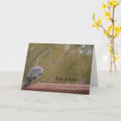 Woodpeckerフォトグリーティングカード カード (黄色い花)