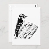 Woodpecker ポストカード (正面/裏面)