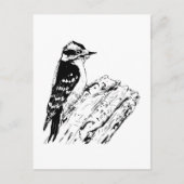 Woodpecker ポストカード (正面)