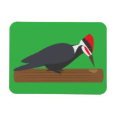 Woodpecker マグネット (横)