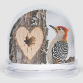Woodpecker Beside Heart-Shaped Tree Hole (正面)