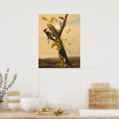 Woodpecker - Joseph B. Kiddファインアートポスター ポスター (キッチン)