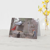 Woodpecker&Maleの（鳥）ショウジョウコウカンチョウ カード (黄色い花)