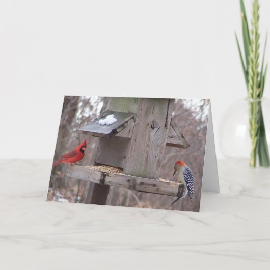 Woodpecker&Maleの（鳥）ショウジョウコウカンチョウ カード (正面)