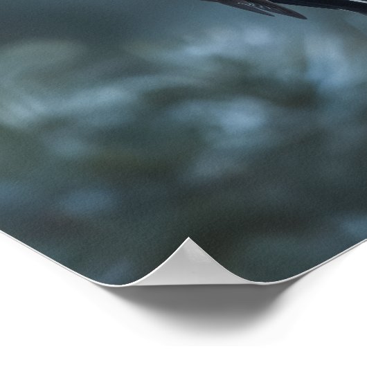 Woodpecker sits on a tree trunk ポスター (角)