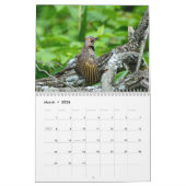 Woodpeckers Calendar カレンダー (3月 2026)