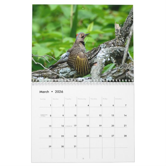 Woodpeckers Calendar カレンダー (3月 2026)