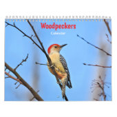 Woodpeckers Calendar カレンダー (カバー)