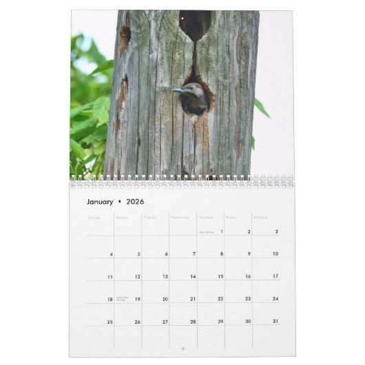 Woodpeckers Calendar カレンダー (1月 2026)
